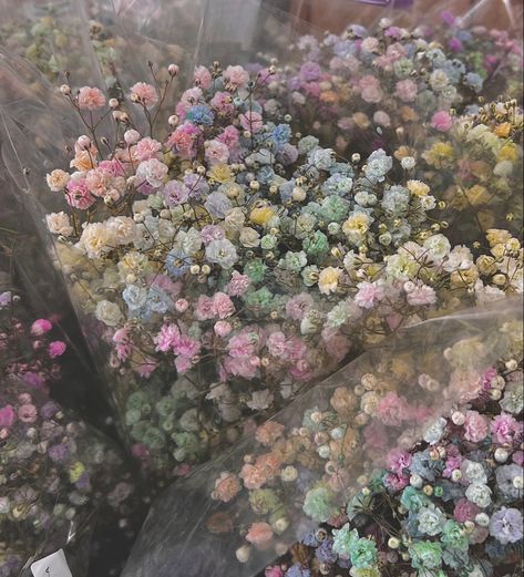 Pink Babysbreath, Kc Aesthetic, Pastel Purple Flowers, Rachel Core, Emily Core, Fairytale Flowers, Character Charts, Mint Bouquet, Princesscore Aesthetic