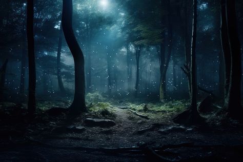 A magical forest night landscape outdoors.  | premium image by rawpixel.com / Pitcha Benrohman Forest Moonlight, Night Time Forest, Dark Forest Landscape, Forest Magical, Forest At Night, Forest Light, Forest Night, Forest Background, Night Background