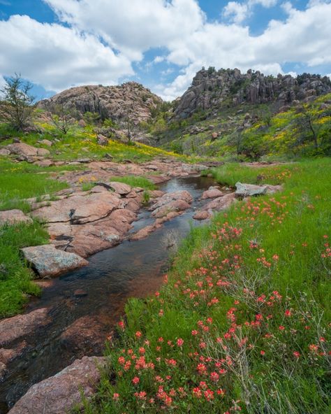 Department of the Interior on Instagram: “Fun Wilderness Month fact: Did you know that the @usfws Wichita Mountains Wildlife Refuge in #Oklahoma includes 8,570 acres of designated…” Wichita Mountains, Indian Paintbrush, Backcountry Camping, Oak Forest, Mountain Stream, Great Plains, Beautiful Places Nature, Great Outdoors, Beautiful Views