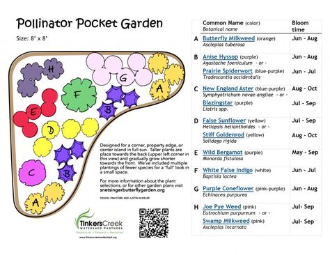 Plan a Pollinator Pocket Garden - Tinkers Creek Watershed Partners Pollinator Garden Plans, Pollinator Garden Design, Resurrection Garden, Pocket Garden, Pollinator Plants, Native Plant Gardening, Hummingbird Garden, Thriving Garden, Magic Garden