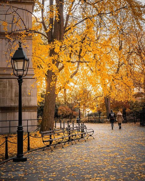 https://www.instagram.com/p/CXSPq25rIo1/?utm_medium=share_sheet Autumn Scenes, Autumn Scenery, City Landscape, Best Seasons, Watercolor Inspiration, Good Afternoon, Autumn Photography, Autumn Trees, Favorite City