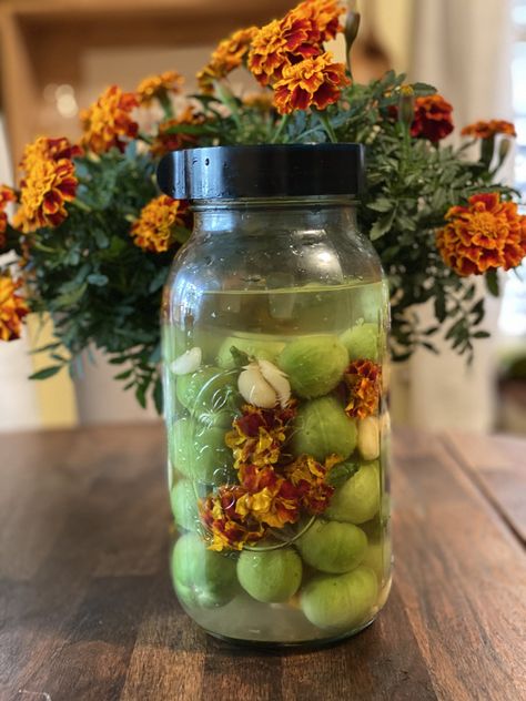 Lacto-Fermented Green Tomatoes with Marigolds and Garlic Weston A Price, Fermented Dairy, Lacto Fermented, Green Tomato Recipes, Fermenting Weights, Peasant Food, Fermented Veggies, Yellow Mustard Seeds, Raw Apple Cider Vinegar