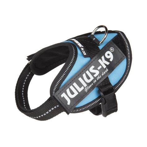 Julius-K9, IDC Powerharness, Dog Harness Julius K9 Dog Harness, Dog Halter, Silly Kitties, Julius K9, Morning Walks, Chest Strap, Cat Harness, Animal Nutrition, Dog Shop