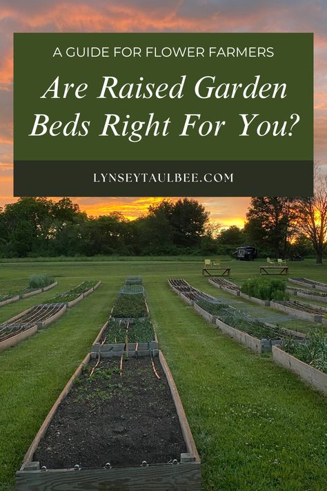 A field of raised cut flower garden beds Raised Garden Beds Layout Flowers, Flower Garden Beds, Raised Bed Gardening, Garden Bed Layout, Growing Cut Flowers, Flower Farming, Farm Business, Flower Garden Design, Flower Business