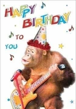 Happy Birthday Big Boy, Silly Happy Birthday, Happy Birthday Funny Humorous, Happy Birthday Animals, Birthday Picture, Monkey Birthday, Happy Birthday Text, Happy Birthday Photos, Happy Birthday Meme