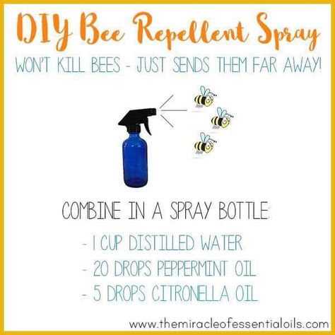 Bee Repellent Bee Repellent, Getting Rid Of Bees, Garden Ideas Diy, Garden Ideas Diy Cheap, Homemade Essential Oils, Homemade Essential Oil, Citronella Oil, Diy Essentials, Bumble Bees