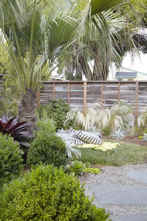 Palm and patch of lawn in landscape designer Flora Grubb Mobile Home Remodeling, Low Water Gardening, Flora Grubb, Palm Garden, Waterwise Garden, Natural Swimming Pools, Landscape Designer, Palm Plant, Gardening 101