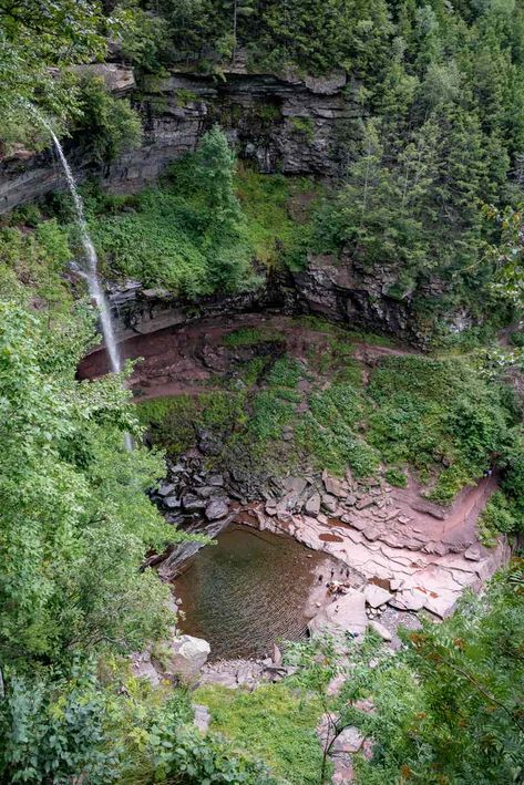 Spring Things, Mountains Hiking, The Catskills, Catskill Mountains, Forest Trail, Wild Forest, Rock Pools, Warm Spring, Best Hikes