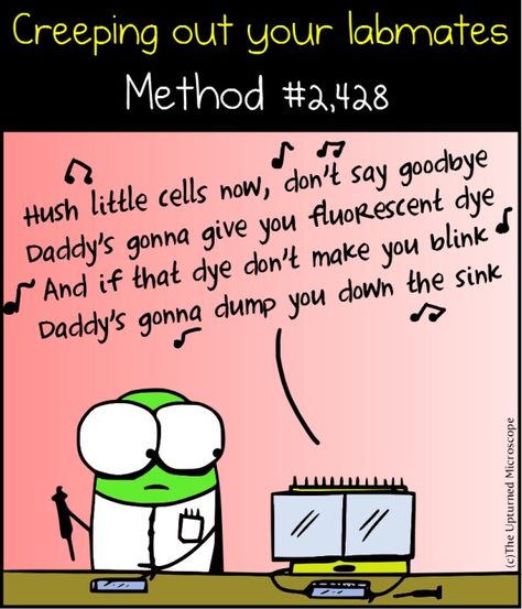 molecular biology: Creepin out the lab mate... I totally lost it with this one, laughing laughing laughing... Sounds like something my friends and I would make up in AP Bio. ;) Laboratory Humor, Biology Jokes, Biology Memes, Lab Humor, Science Cartoons, Biology Humor, Nerdy Jokes, Nerdy Humor, Lab Week