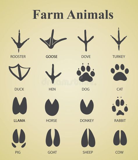 Set of farm animal tracks. Vector illustration of set of farm animal tracks , #ad, #animal, #farm, #Set, #tracks, #set #ad Pig Hooves, Farm Tattoo, Cow Hooves, Chicken Tattoo, Animal Footprints, Hoof Print, Vegan Tattoo, Theme Tattoo, Animal Tracks