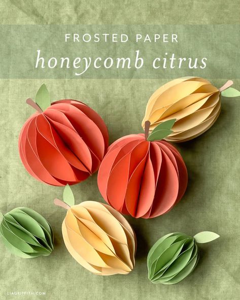 Honeycomb Ornaments, Graphic Design Activities, 3d Paper Projects, Paper Fruit, Paper Art Sculpture, Honeycomb Decorations, Paper Decoration, Orange Paper, Honeycomb Paper