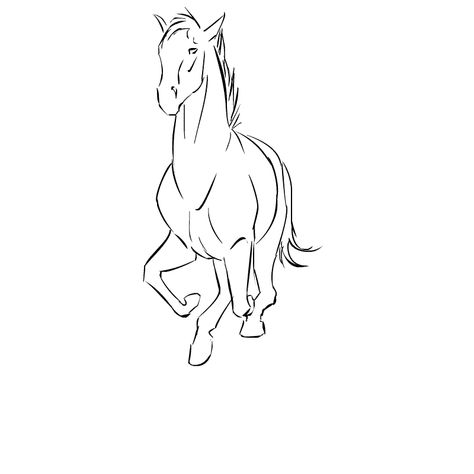 Running Back View Drawing, Horse Animation Gif, Horse Running Animation, Horse Animation, Horse Galloping, Animation Art Sketches, Animation Sketches, Animation Tutorial, Horse Drawing