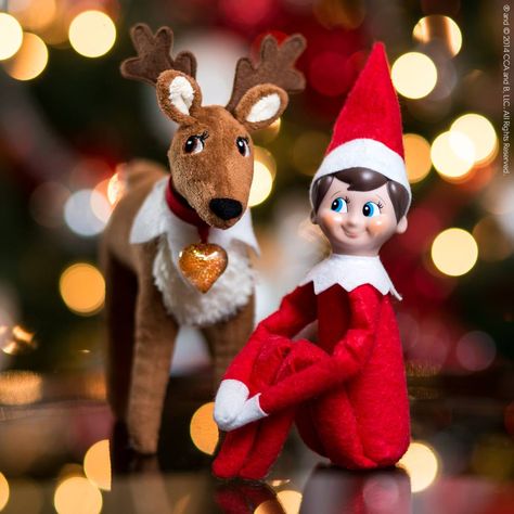 adopt one of his New Elf Pets Reindeer-- a snuggly new friend that will help his sleigh fly on Christmas Eve. Christmas Wallpaper Iphone Elf, Christmas Wallpaper Iphone, Elf Pets, Stylish Winter Outfits, Spring Wallpaper, Wallpaper Iphone Christmas, Thirty One Gifts, Thirty One, New Wall