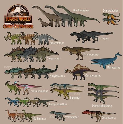 Dinosaur Art Projects, Jurassic Park Poster, Animals Name In English, Prehistoric Animals Dinosaurs, Animal Infographic, Jurassic World Camp Cretaceous, Jurassic Park Movie, All Dinosaurs, Jurrasic Park