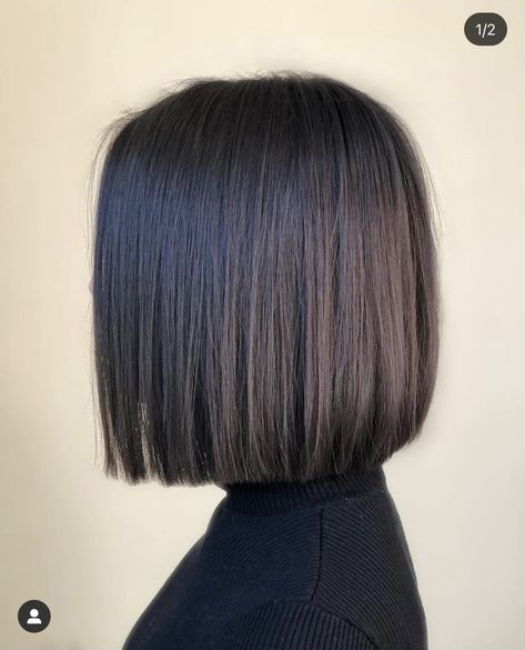 One Length Hair, Rock Your Hair, Hair Dye Tips, Short Dark Hair, Chin Length Hair, Bob Haircut For Fine Hair, Shot Hair Styles, Haircuts For Medium Hair, Haircuts Straight Hair