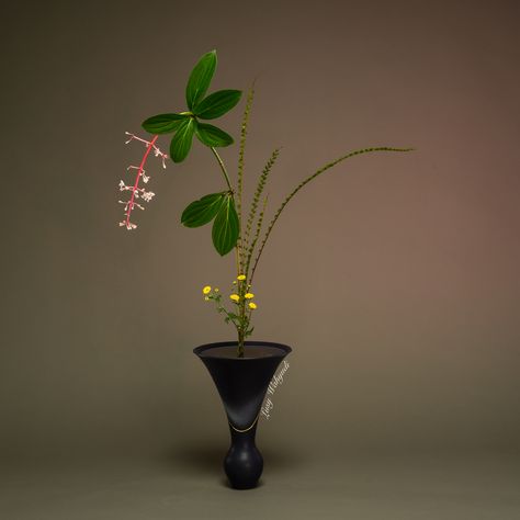 Ikebana ikenobo Shoka Shofutai Sanshu-Ike Ikebana Ikenobo, Ikebana, Android Wallpaper, Florist