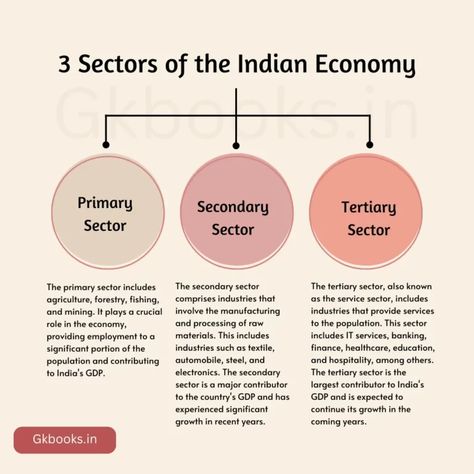 3 Sectors of the Indian Economy Primary Sector Economy, Sectors Of Indian Economy Class 10, Primary Secondary And Tertiary Sector, Economics Notes, Exam Preparation Tips, Project Cover, Upsc Notes, Empty Notebook, Project Cover Page