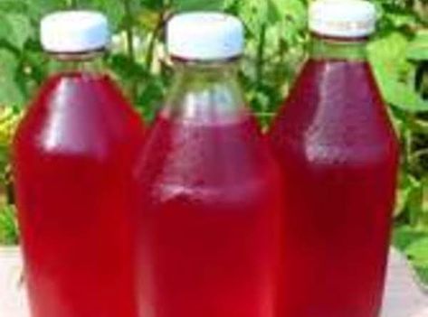 Raspberry, Blackberry Or Blueberry Cordial Recipe Watermelon Vodka Slush, Liqueur Recipes, Raspberry Cordial, Cordial Recipe, Homemade Liquor, Liqueurs Recipes, Lucy Maud Montgomery, Homemade Wine, Homemade Drinks