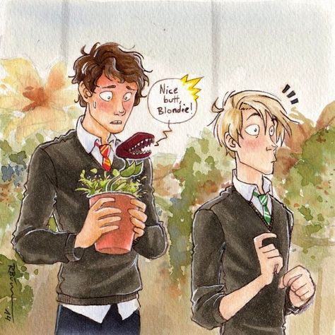 Every time Draco saw Neville his palms would sweat and he would try hard not to blush. As always Draco used harsh words when he was uncomfortable in a situation, he would throw around insults and strut away.  It was in their third year that Neville caught on and started “fighting” back. Draco Malfoy Memes, Art Harry Potter, Drarry Fanart, Harry Draco, Gay Harry Potter, Harry Potter Comics, Draco Harry Potter, Harry Potter Draco Malfoy, Harry Potter Ships