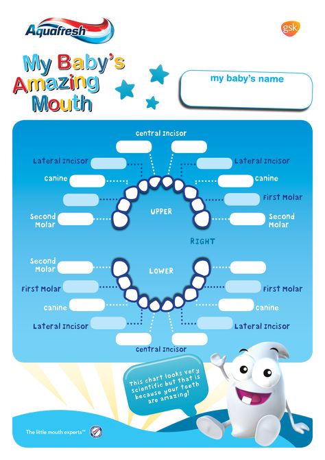 Printable Baby Teeth Chart - How to create a Baby Teeth Chart? Download this Printable Baby Teeth Chart template now! Tooth Eruption Chart, Baby Teeth Chart, Teeth Eruption Chart, Baby Tooth Chart, Teeth Chart, Mothers Day Cards Printable, Teething Chart, Teeth Eruption, Easter Coloring Sheets