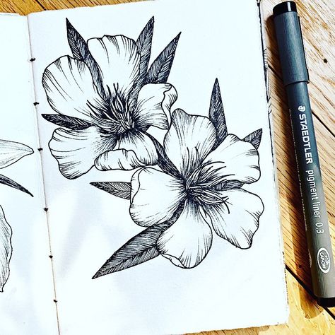 White Oleander Tattoo, Oleander Flower Tattoo, Oleander Drawing, Oleander Tattoo, Poison Flowers, Oleander Flower, Sick Tattoos, Plants Drawing, White Oleander