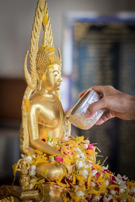 Buddha bathing songkran day thailand Pre... | Premium Photo #Freepik #photo #background #flower #people #water Songkran Day, Buddha Flower, Flower People, Background Flower, Life Abroad, Photo Background, Premium Photo, Thailand, Stock Photos