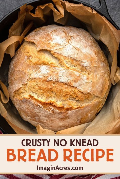 Dutch Oven Recipes Bread, Bread Dutch Oven Recipes, Crusty Bread Recipe Dutch Oven, Bread Dutch Oven, No Knead Dutch Oven Bread, Dutch Oven Bread Recipe, Artesian Bread, Blueberry Quick Bread, Rustic Italian Bread