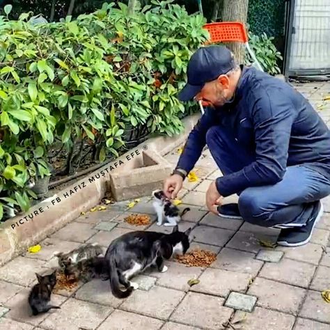 Feeding time! 😻® Cat Reference, Feeding Time, Cat Feeding, Body Poses, Cat Pics, A Cat, Krishna, Vision Board, Dogs