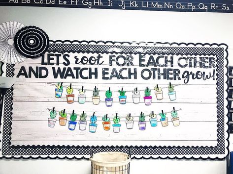 Tori Ritz on Instagram: “Let's root for each other and watch each other grow! @teachmemrs.z created a bulletin board that I was obsessed with for the longest time!…” Lets Root For Each Other Bulletin Board, Positive Classroom Bulletin Boards, Ready To Grow Together Bulletin Board, Grow Together Classroom Theme, Watch Us Grow Bulletin Board, Plant Bulletin Board, Admin Ideas, 2024 Classroom, Growth Mindset Bulletin Board