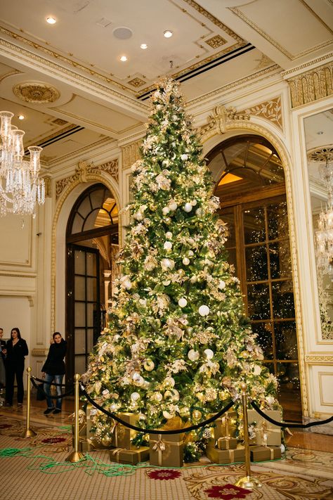 The Plaza Hotel, New York Hotel Christmas Decorations, Hotel Christmas, New York Hotel, Silver Christmas Decorations, Halloween Front Porch Decor, Nyc Christmas, New York Hotels, Halloween Front Porch, Christmas Town