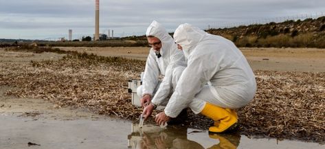 Industrial ecologists do laboratory and field tests to monitor the environment and investigate sources of pollution, including those affecting health. Stormwater Management, Environmental Scientist, Digital Marketing Channels, Hazardous Waste, Environmental Engineering, Tampa Bay Area, Water Resources, Consulting Services, Consulting Firms