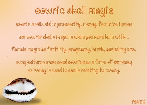 Cowrie Shells Meaning, Cowrie Shell Meaning, Cowrie Shell Spiritual Meaning, Shells Meaning, Seashell Meaning, Shells Magical Properties, Shells In Witchcraft, Sea Shell Spiritual Meaning, Shell Meaning