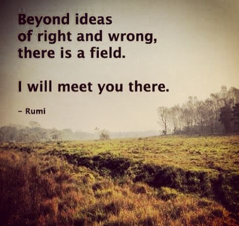 Beyond ideas of right and wrong, there is a field. I will meet you there. | Rumi Rumi Poems, Mystic Quotes, Rumi Poem, Mind Health, All Ideas, Right And Wrong, Healing Spirituality, Energy Healing Spirituality, Self Healing Quotes