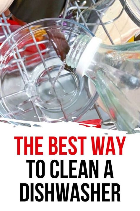 DIY dishwasher Cleaning Hack Dishwasher Smell, Clean A Dishwasher, Dishwasher Rinse Aid, Frugal Homemaking, Dishwasher Cleaning, Best Dishwasher, Homemaking Tips, Easy Cleaning Hacks, House Tips