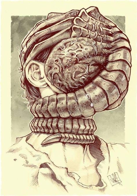 Facehugger Drawing, Facehugger Tattoo, Xenomorph Facehugger, Facehugger Alien, Aliens Movie Art, Alien Facehugger, Giger Alien, Predator Alien Art, Giger Art