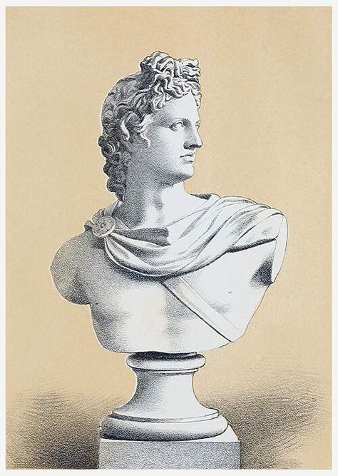 Bust of Apollo – Old Book Illustrations Apollo Illustration, Apollo Altar, Apollo Belvedere, Apollo Statue, Apollo And Artemis, Greek Mythology Tattoos, Roman Statue, Classical Mythology, Greek Statues