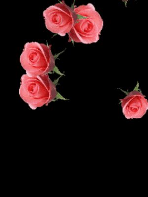 Vertrouw Op God, Rosé Gifs, Roses Gif, Glitter Gif, Gif Photo, Flowers Gif, Morning Flowers, Glitter Graphics, Pretty Roses