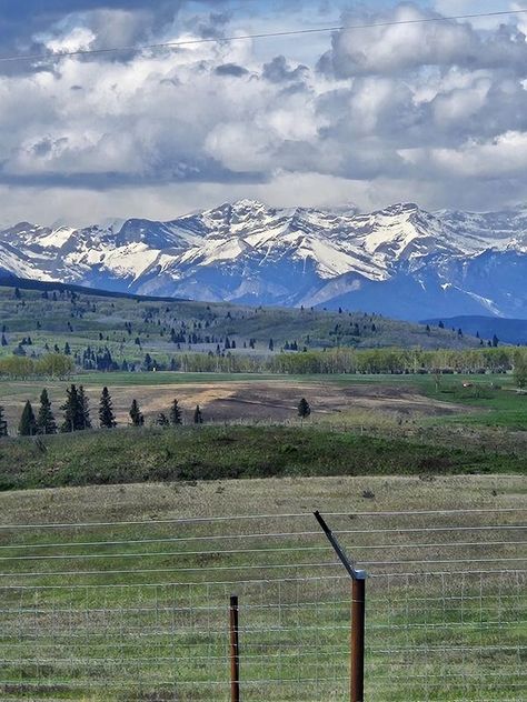 Canadian Landscapes | Around Cochrane, Alberta. | Facebook Alberta Aesthetic, Alberta Landscape, Cochrane Alberta, Prairie Aesthetic, Animals