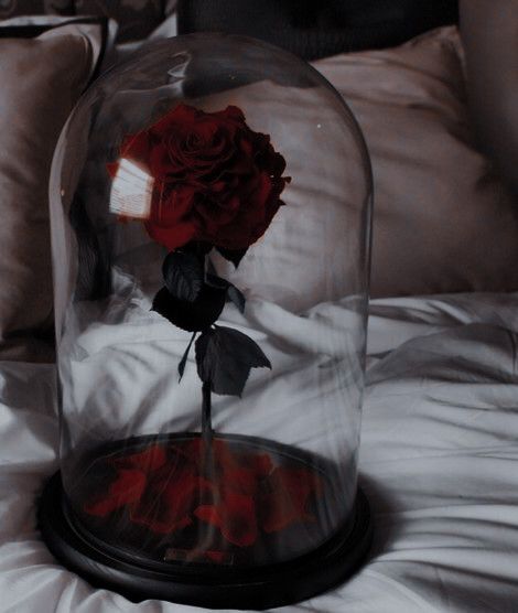 Dark Royalty Aesthetic, Cinderella Aesthetic, I See Red, Vampire Goth, Aesthetic Roses, Royalty Aesthetic, Goth Wedding, Rosé Aesthetic, Gothic Aesthetic