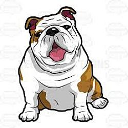 Anjing Bulldog, Bulldog Drawing, Bulldog Clipart, Bulldog Tattoo, Francia Bulldog, English Bulldog Puppies, Bulldog Art, Old English Bulldog, English Bulldog Puppy