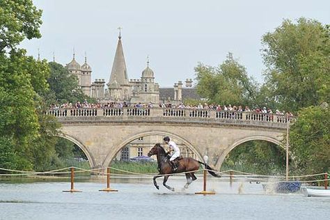 Burghley Horse Trials! Burghley Horse Trials, Equine Fashion, Equestrian Aesthetic, Horse Trials, Equestrian Events, Eventing Horses, Quiet Corner, English Riding, Equestrian Lifestyle