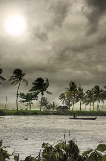 Kerala backwaters in monsoon Kerala Monsoon Rain, Rain In Kerala, Kerala Monsoon, Layered Landscape, Kerala Backwaters, Monsoon Rain, India Kerala, Monsoon Season, Good Morning Beautiful Pictures