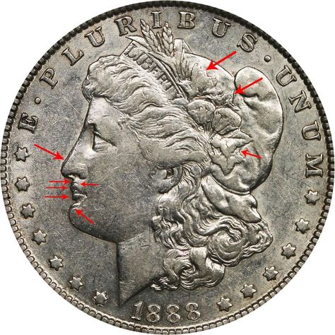 1888 Silver Dollar Value Silver Dollar Coin Value, Silver Dollar Value, Melting Silver, Valuable Wheat Pennies, Craft Diy Ideas, Steel Penny, Wheat Pennies, Silver Dollar Coin, Half Dollar Coin