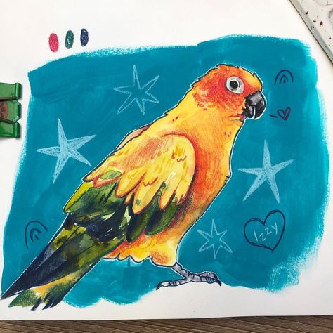 ↟J e s s R o m a n o w i t z↟’s Instagram photo: “Izzy the sun conure! This queen of destruction belongs to a nice chap on discord. When he started sharing pictures and videos of her I…” Thick Sketchbook, Lanterns Diy, Sun Conure, Paper Lanterns Diy, Sketchbook Ideas, Drawing Inspo, Paper Lanterns, When He, Picture Video