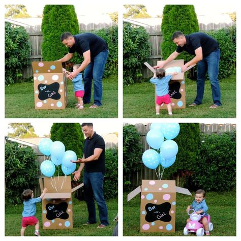 Gender Reveal Using Sibling, Gender Reveal Photo Ideas Sibling, Paint Gender Reveal Ideas With Sibling, Gender Reveal Photography Sibling, Gender Reveal Including Older Sibling, Sibling Gender Reveal, Gender Reveal Box, Gender Reveal Balloons, Baby Reveal