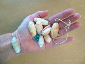 How To Make Seashell Bracelet Jewelry | i Love Shelling Olive Shell, Diy Jewelry To Sell, Seashell Bracelet, Shells Diy, Sea Jewelry, Mermaid Jewelry, Jewelry Making Bracelet, Seashell Jewelry, Ocean Jewelry