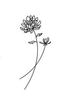 Dahlia Flower Simple Drawing, Crysanthemum Tattoo Tiny, Minimal Chrysanthemum Tattoo, Dahlia Line Tattoo, Dahlia Tattoo Small Simple, Chrysanthemum Wrist Tattoo, Tiny Chrysanthemum Tattoo, Small Chrysanthemum Flower Tattoo, Chrysanthemum Tattoo Small Birth Flowers