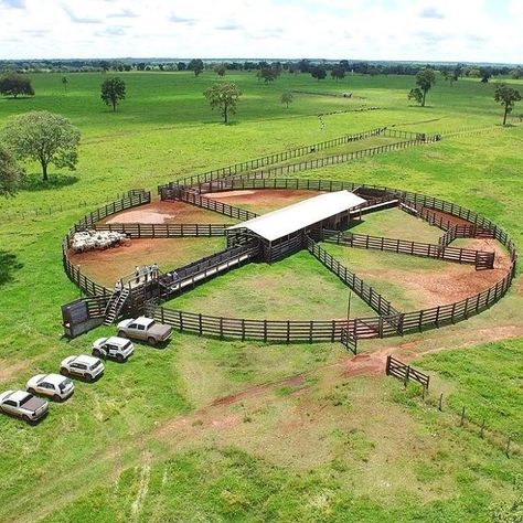 Reban Ayam, Cattle Facility, Poultry Farm Design, Cattle Corrals, Horse Farm Ideas, Horse Barn Ideas Stables, Raising Farm Animals, Farm Shed, Backyard Chicken Farming