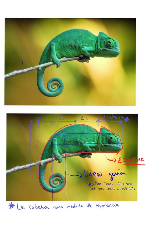 Camelions Drawing Cute, How To Draw Reptiles, Chameleon Sculpture, Barcode Tattoo, Artistic Portrait Photography, Veiled Chameleon, Chameleon Art, Dreamy Artwork, Clay Crafts Air Dry