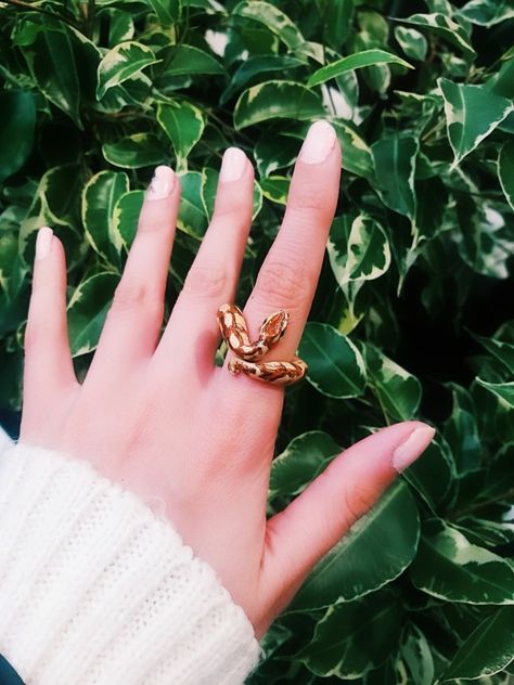 Showing my clay baby python ring some real nature ❤🐍❤🐍 Tag me @fimica.creations if you repost, thank you and stay safe and I love you ❤ .  #ballpython #python #babysnake #plantsofinstagram #art #handmade #jewellery #ring #jewelry #handmadejewelry #green #snake #clay #polymerclay #craft #snakelover #snakejewelry #cute #nature #sculpture #beautiful #flowers #plants #aesthetic #nakit #etsy #myfimo #instagram Cute Snake Clay Ring, Unique Handmade Snake Ring, Ball Python Ring, Polymer Clay Snake Necklace, Polymore Clay Snake Necklace, Baby Snakes, Real Nature, Polymer Clay Ring, Snake Lovers